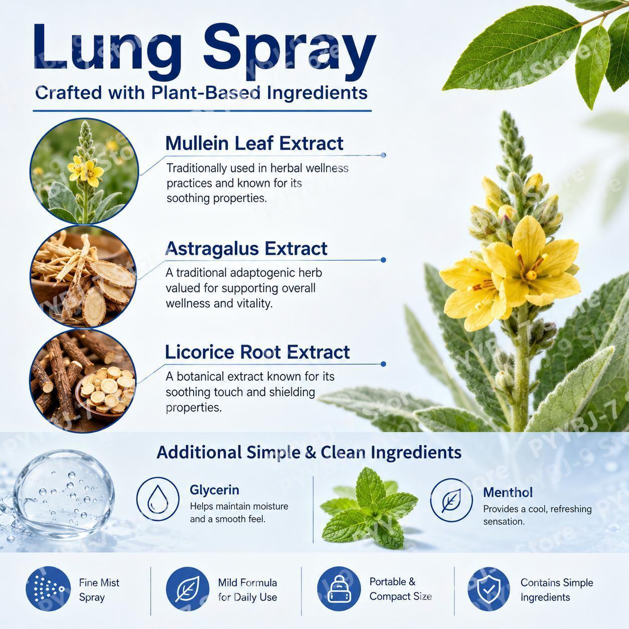 ハーバルフレッシュネス肺呼吸スプレー100ml植物エキスマル - Licorice Root Extract のレビューと価格